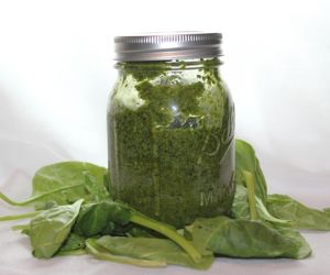 Spreadable Pesto