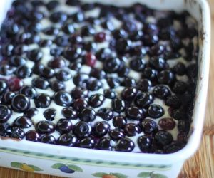 Fresh Blueberry Cheesecake Bars