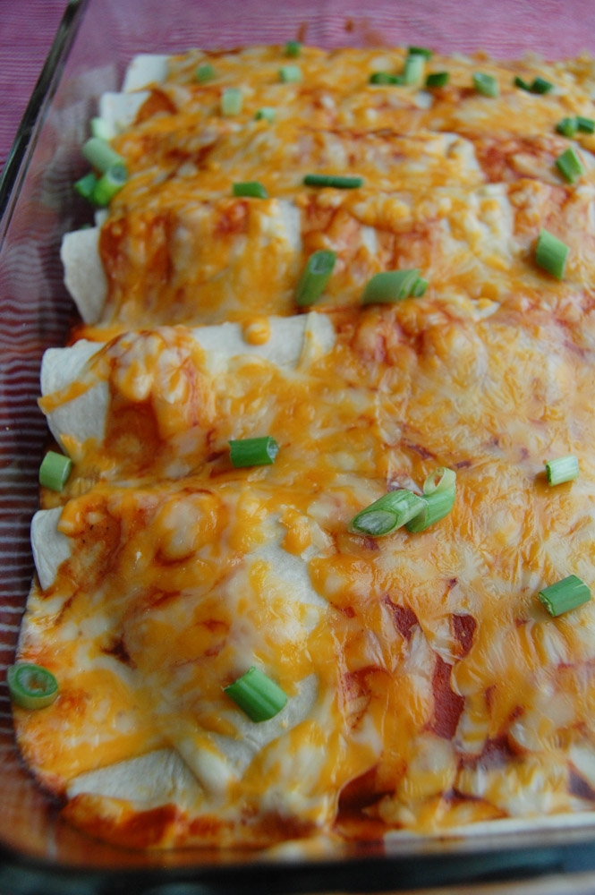 Cheesy Beef Enchiladas