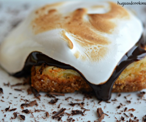 S'mores Cheesecake Squares