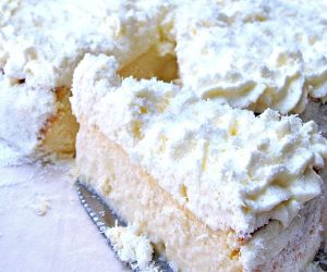 Coconut Cheesecake