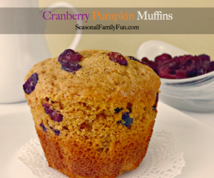 Cranberry Pumpkin Muffins