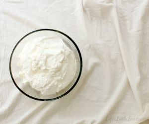 Vanilla Whipped Cream