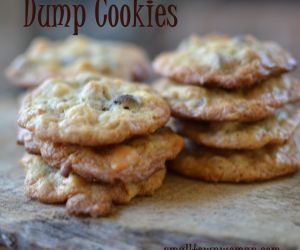 Dump Cookies