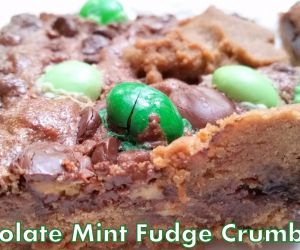 Chocolate Mint Fudge Crumb Bars