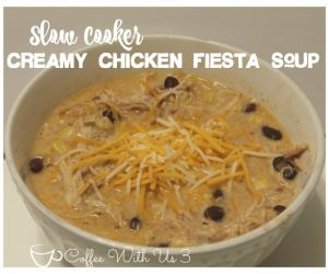 Creamy Chicken Fiesta Soup