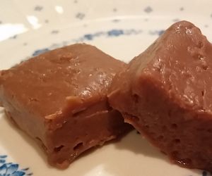 2 ingredient Chocolate Peanut Butter Fudge