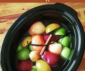 Slow Cooker Hot Apple Cider