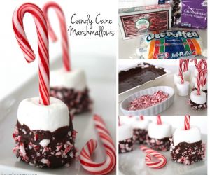 Chocolate Dipped Candy Cane Marshmallows