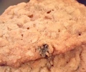 Favorite Oatmeal Raisin Cookies