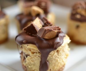 Mini Peanut Butter Cheesecakes