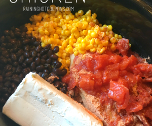 Fiesta Chicken in the Crockpot Recipe