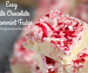 3 Ingredient Easy White Chocolate Peppermint Fudge - Perfect for the Holidays!