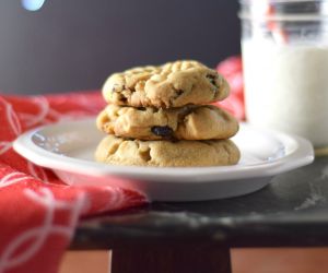 Peanut Butter, White Chocolate, and Cranberry Cookies