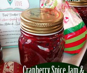 Cranberry Spice Jam with Cinnamon Chip Biscuits