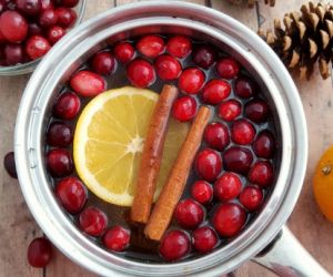 DIY Christmas Potpourri (Great Gift Idea Too with Printable Tags)