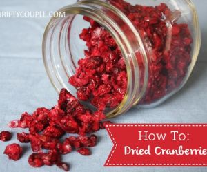 How To Make Dried Cranberries (DIY Copy Cat Craisins)