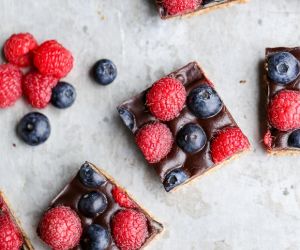 Chocolate Berry Bars (Paleo + Vegan)