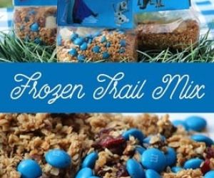 Frozen Trail Mix