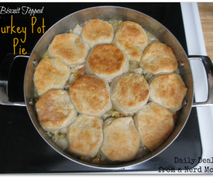 Biscuit Topped Turkey Pot Pie