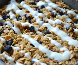 Blueberry Oat Breakfast Bars