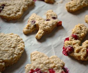 Moist Cranberry Oatmeal Cookies