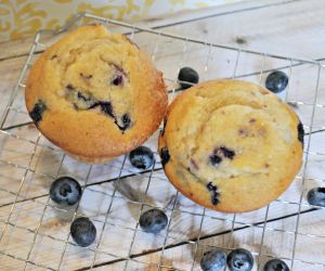 Blueberry Muffins