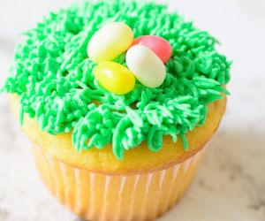 Simple Spring Cupcakes