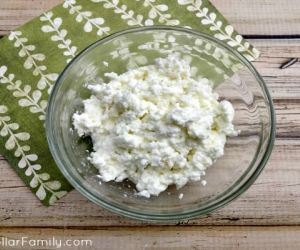 Simple and Easy Homemade Ricotta Cheese