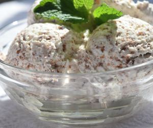 Mint Chocolate Chip No-Churn Ice Cream