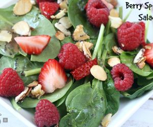BERRY SPINACH SALAD