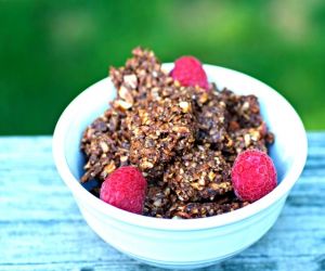 Chocolate Nut Paleo Granola