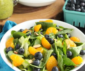 Blueberry Salad with Green Onion-Poppy Seed Dressing