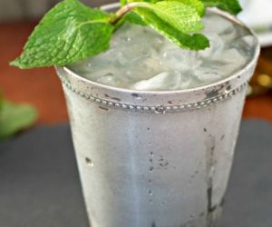 Gingered Trippy Gin Julep