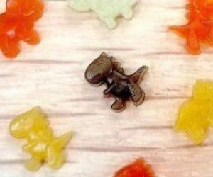 Healthy CBD Gummy Bears from Whole Fresh Fruit | Cukebook