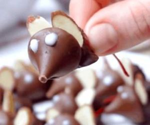 CHOCOLATE COVERED CHERRY MICE