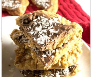 NO-BAKE OATMEAL PEANUT BUTTER BARS