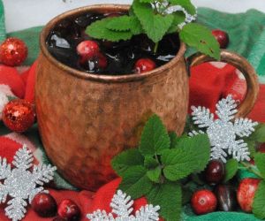CRANBERRY MOSCOW MULE