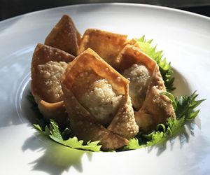 Southwestern Wagyu Beef Wontons with Lime Chipotle Crema
