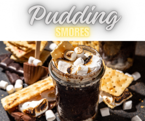 Chocolate Pudding Smores