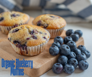 Organic Blueberry Muffins
